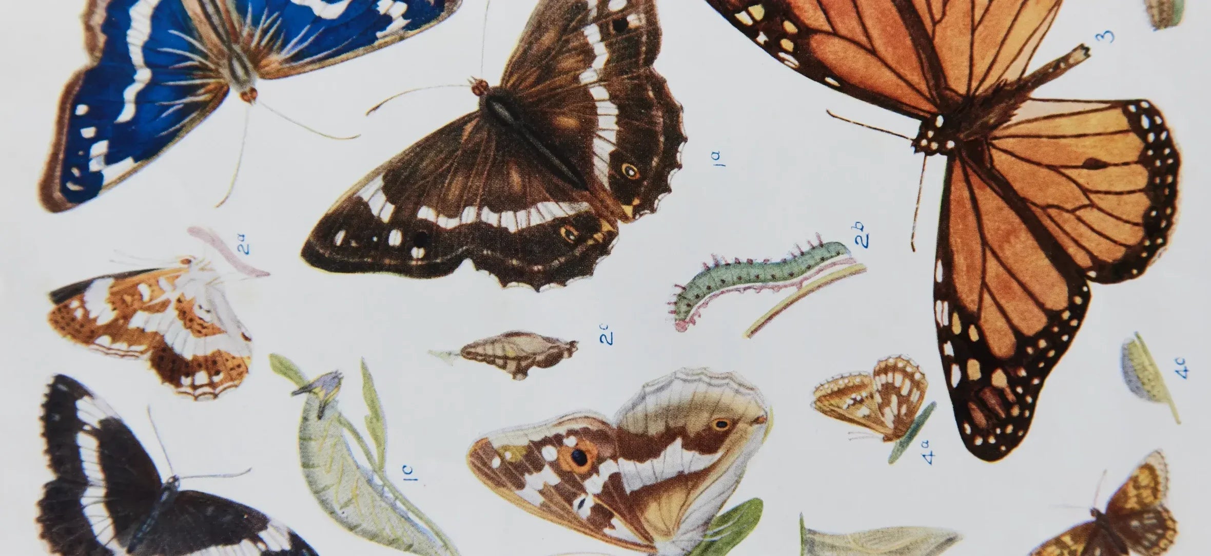 Science & Natural History