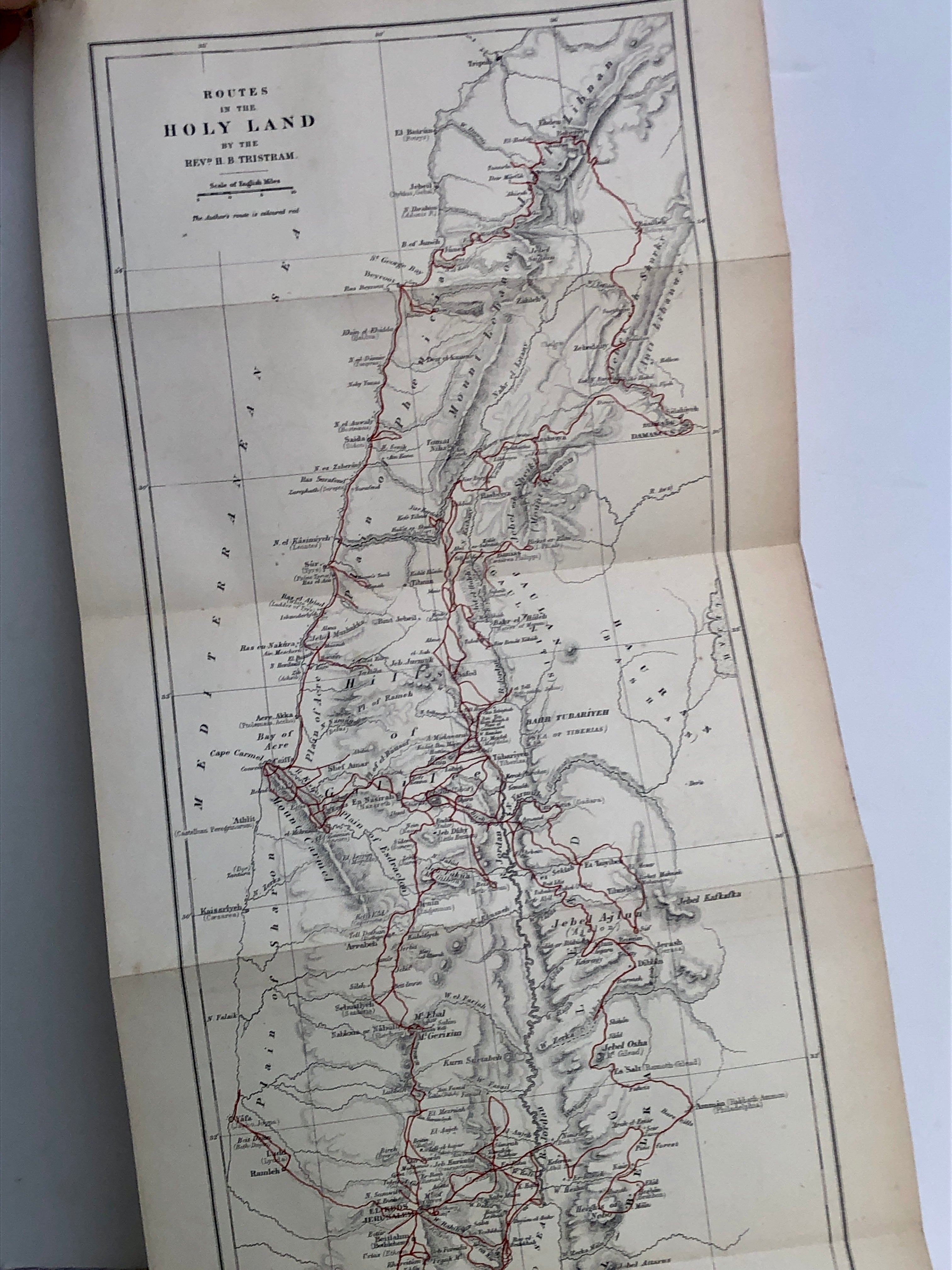 The Land of Israel; a journal of travels in Palestine undertaken with special reference to its physical character - 0