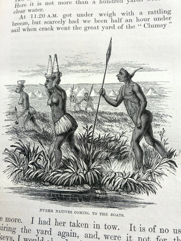 The Albert Nyanza, Great Basin of the Nile and Explorations of the Nile Sources - 0
