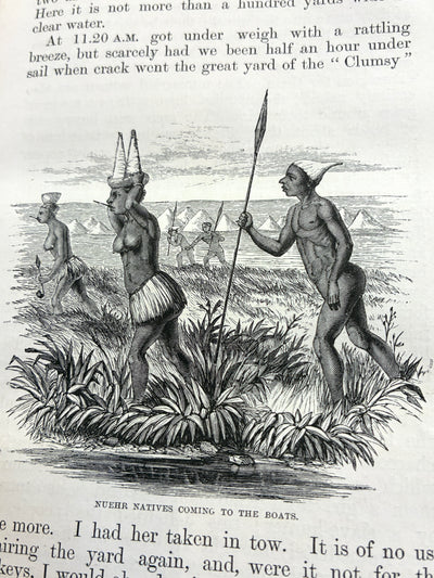 The Albert Nyanza, Great Basin of the Nile and Explorations of the Nile Sources - 0