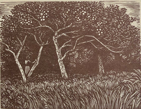 Moments of Vision - 0