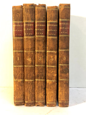 English Botany; or, coloured figures of British plants, with their essential characters, synonyms, and places of growth. To which will be added occasional remarks