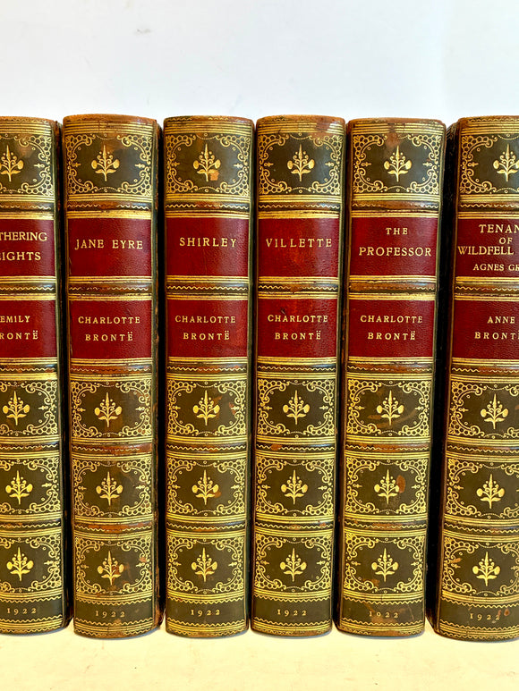 The novels of Charlotte, Emily, & Anne Brontë (six volumes)