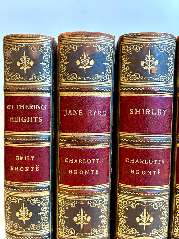 The novels of Charlotte, Emily, & Anne Brontë (six volumes)