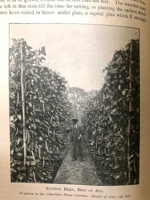 Vegetables for Exhibition and Home Consumption. A handy book containing full details of the Cultivation of all Vegetables grown for Exhibition and the supply of the Household in the United Kingdom. - 0