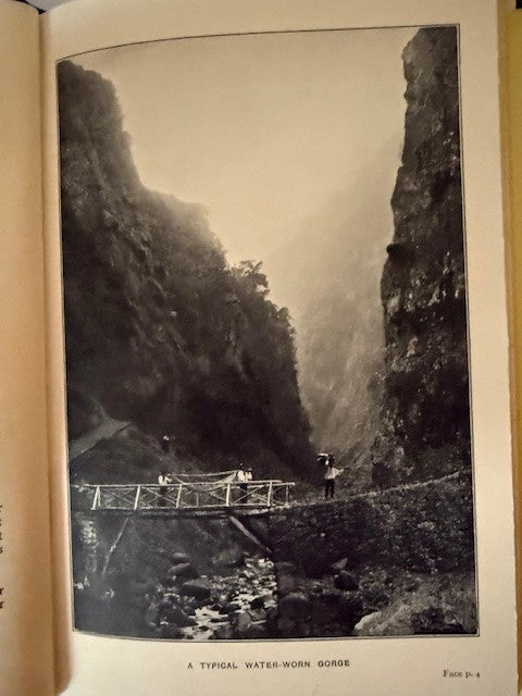 The garden interests of Madeira