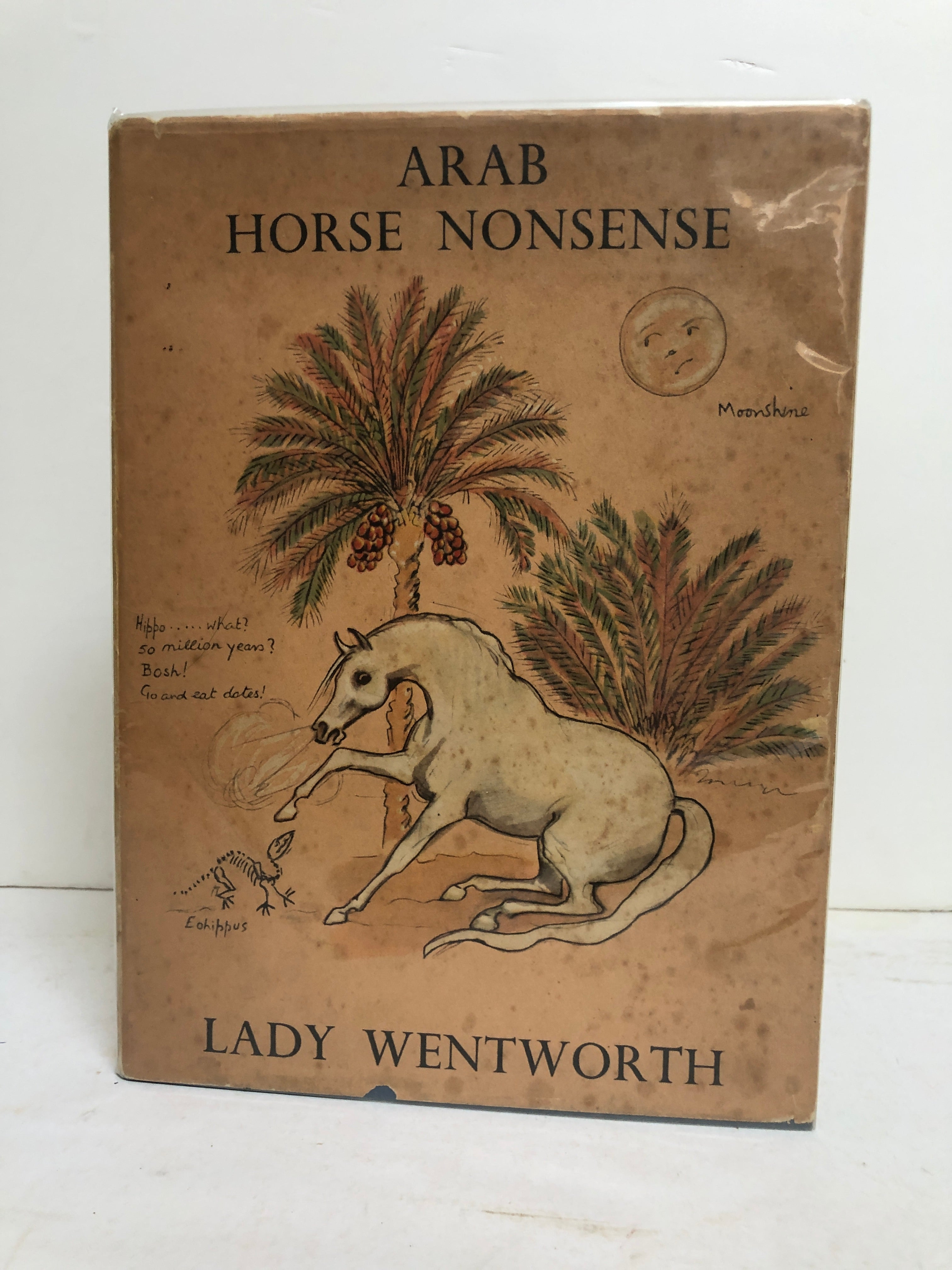 Arab horse nonsense