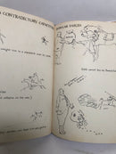 Arab horse nonsense-2