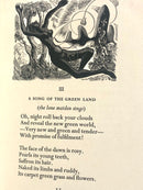 Primeval Gods (SIGNED COPY)-1