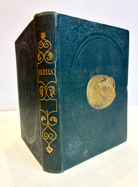 Shells and their Inmates