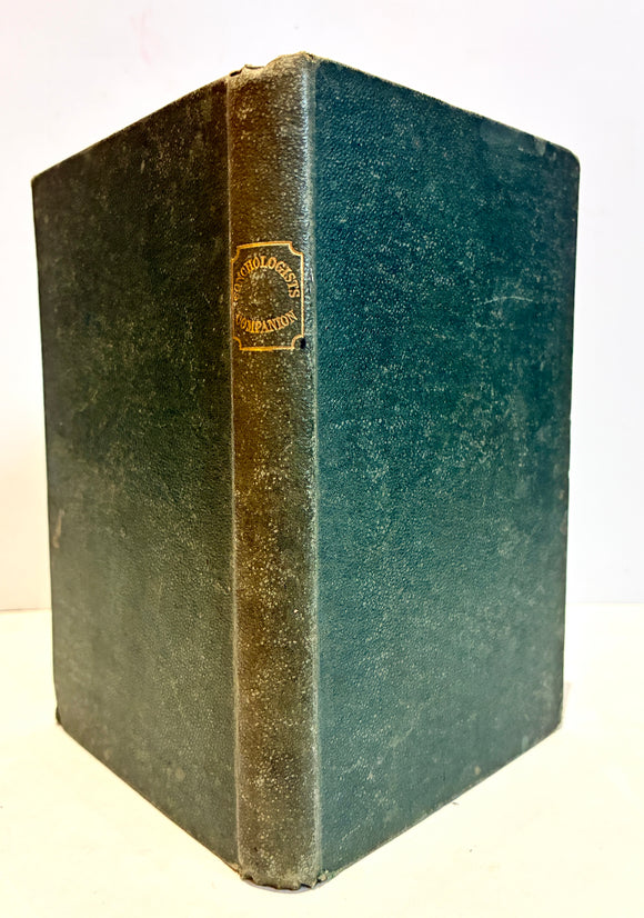 The Conchologist's Companion