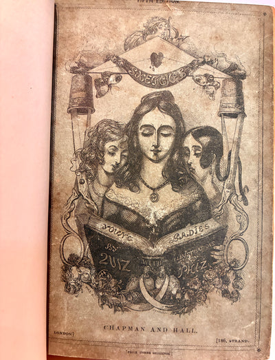 Sketches of young ladies: in which these interesting members of the animal kingdom are classified according to their several instincts, habits, and general characteristics..