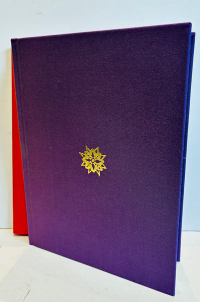 Lanterns across the Snow