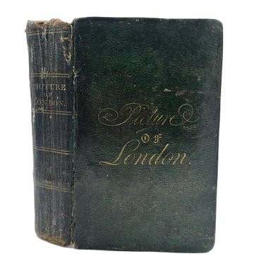 The Picture of London, for 1819: being a correct guide to all the curiosities, amusements, exhibitions, public establishments, and remarkable objects in and near London - 0