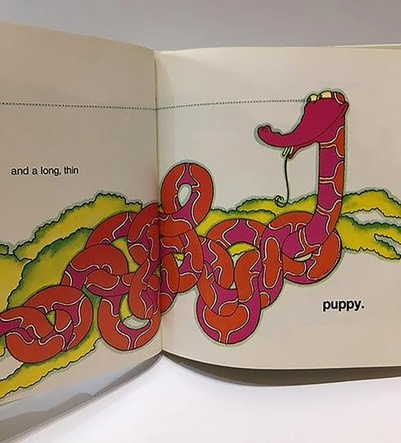 A Visit from a Turtle