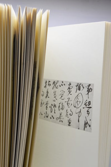 Chinese Calligraphy - 0