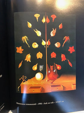 Kándl Miroitement - 0