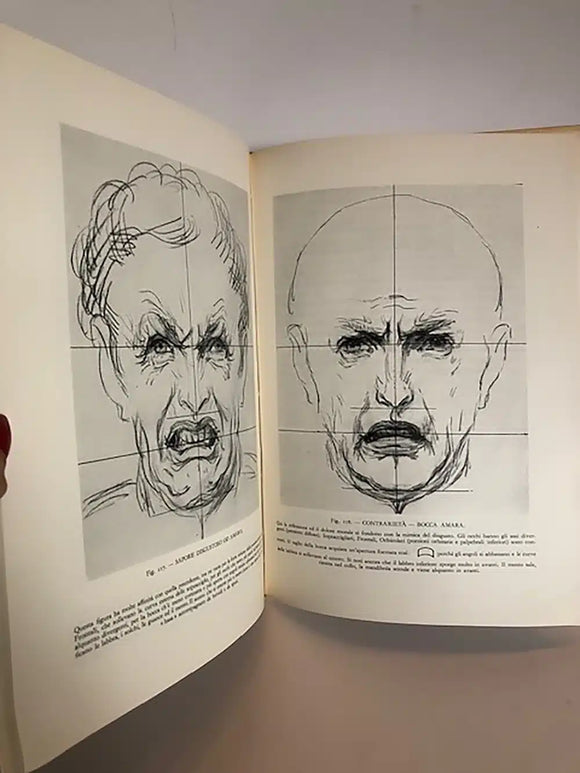 L'esoressione Dei Sentimenti Nelle Opere D'arte e nel Vivo