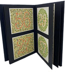 Pseudo Isochromatic Plates for Testing Colour Perception-2