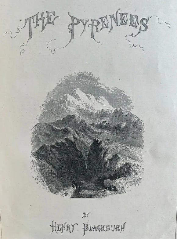 The Pyrenees: A Description of Summer Life at French Watering Places