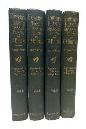 The Flowering Plants, Grasses, Sedges, and Ferns of Great Britain and Their Allies the Club Mosses, Pepperworths and Horsetails