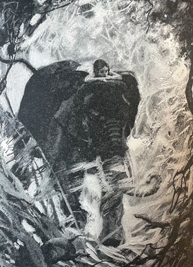 The Jungle Book / the Second Jungle Book (Two Volumes) - 0