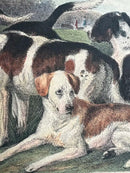 The Noble Science. A Few General Ideas on Fox-Hunting-2