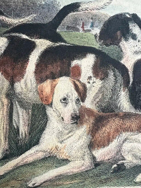 The Noble Science. A Few General Ideas on Fox-Hunting - 0