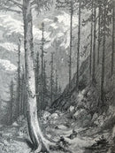 The Pyrenees. A Description of Summer Life at French Watering Places. With upwards of one hundred illustrations by Gustave Doré and a map of the Central Pyrenees-2