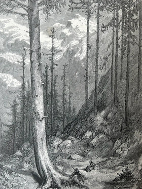 The Pyrenees. A Description of Summer Life at French Watering Places. With upwards of one hundred illustrations by Gustave Doré and a map of the Central Pyrenees - 0