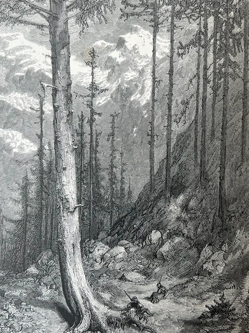 The Pyrenees. A Description of Summer Life at French Watering Places. With upwards of one hundred illustrations by Gustave Doré and a map of the Central Pyrenees - 0
