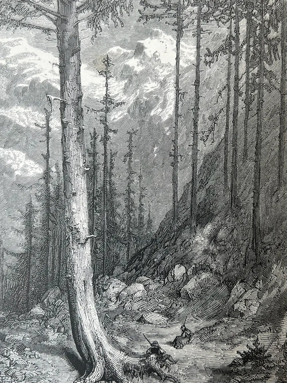 The Pyrenees. A Description of Summer Life at French Watering Places. With upwards of one hundred illustrations by Gustave Doré and a map of the Central Pyrenees