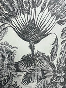 The Traveller's Tree. A Journey Through the Caribbean Islands-2