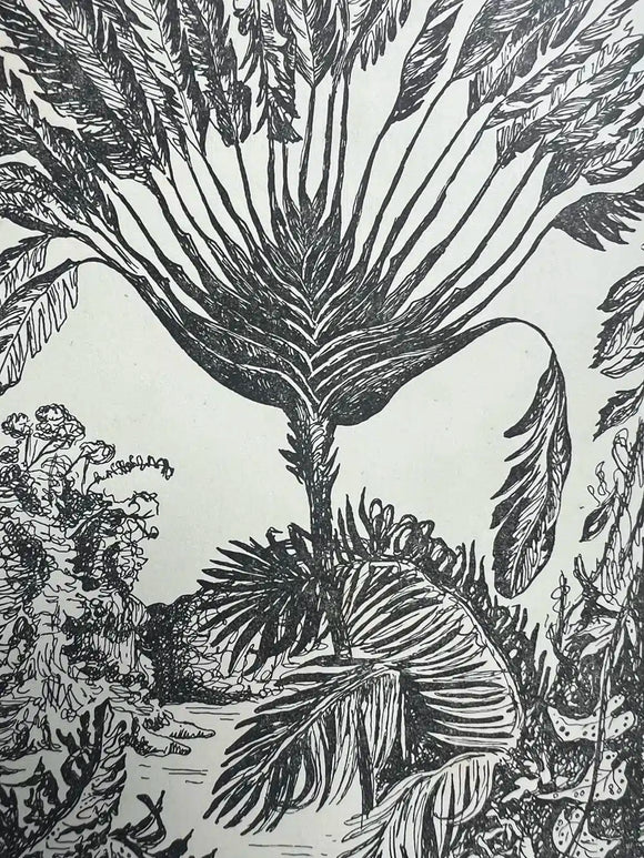 The Traveller's Tree. A Journey Through the Caribbean Islands