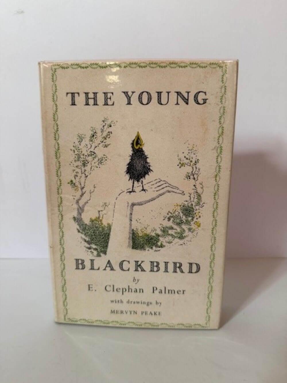 The Young Blackbird.