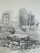 Travels Amongst the Great Andes of the Equator-2