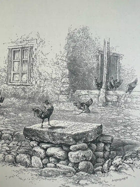 Travels Amongst the Great Andes of the Equator - 0