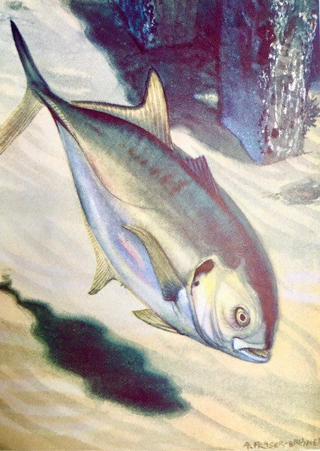 Game Fish of the World (Signed Copy)